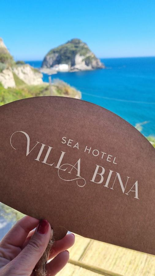 Villa Bina Sea Hotel Sant'Angelo  Экстерьер фото